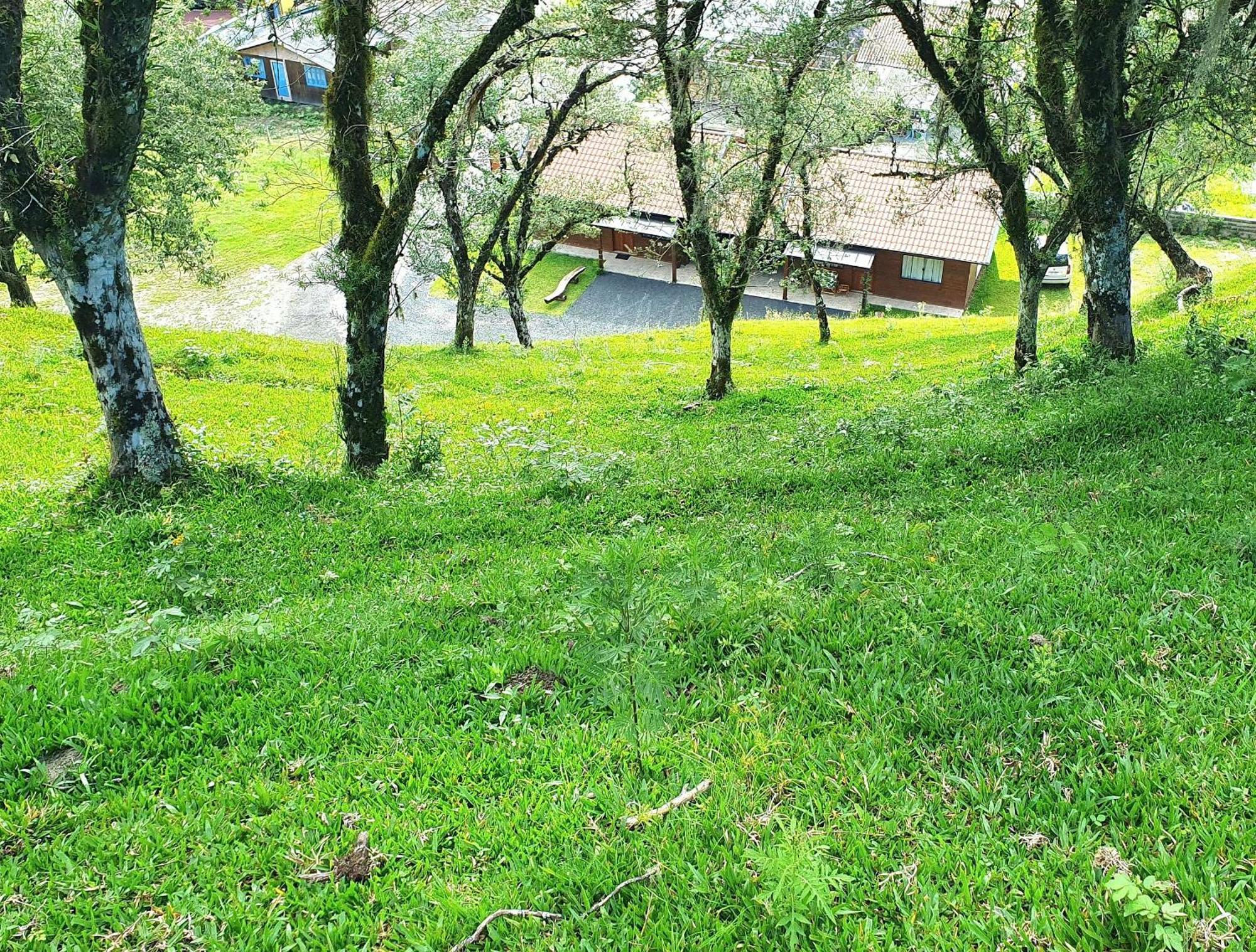 Cabana Canto Lindo - Urubici-Sc Eksteriør bilde