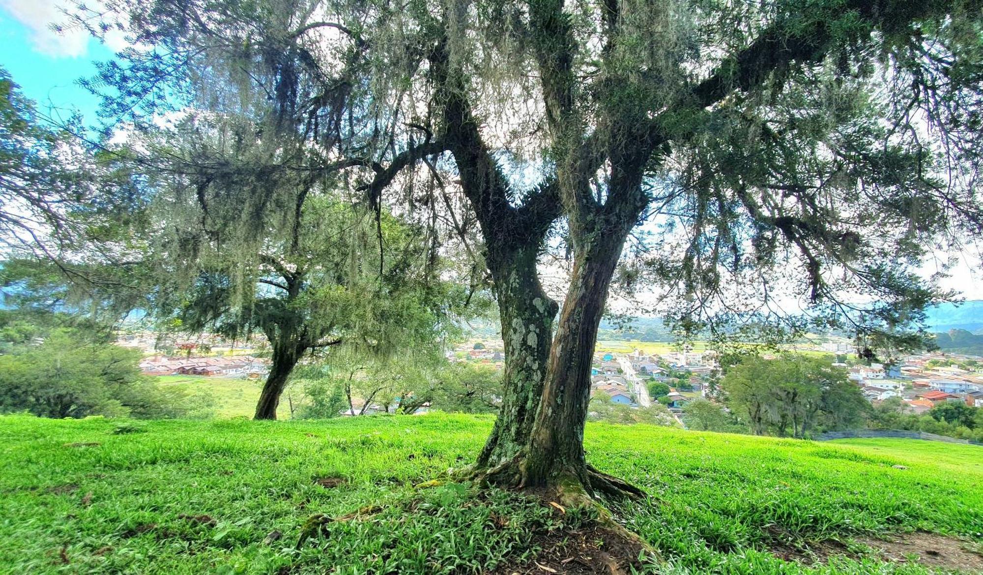 Cabana Canto Lindo - Urubici-Sc Eksteriør bilde